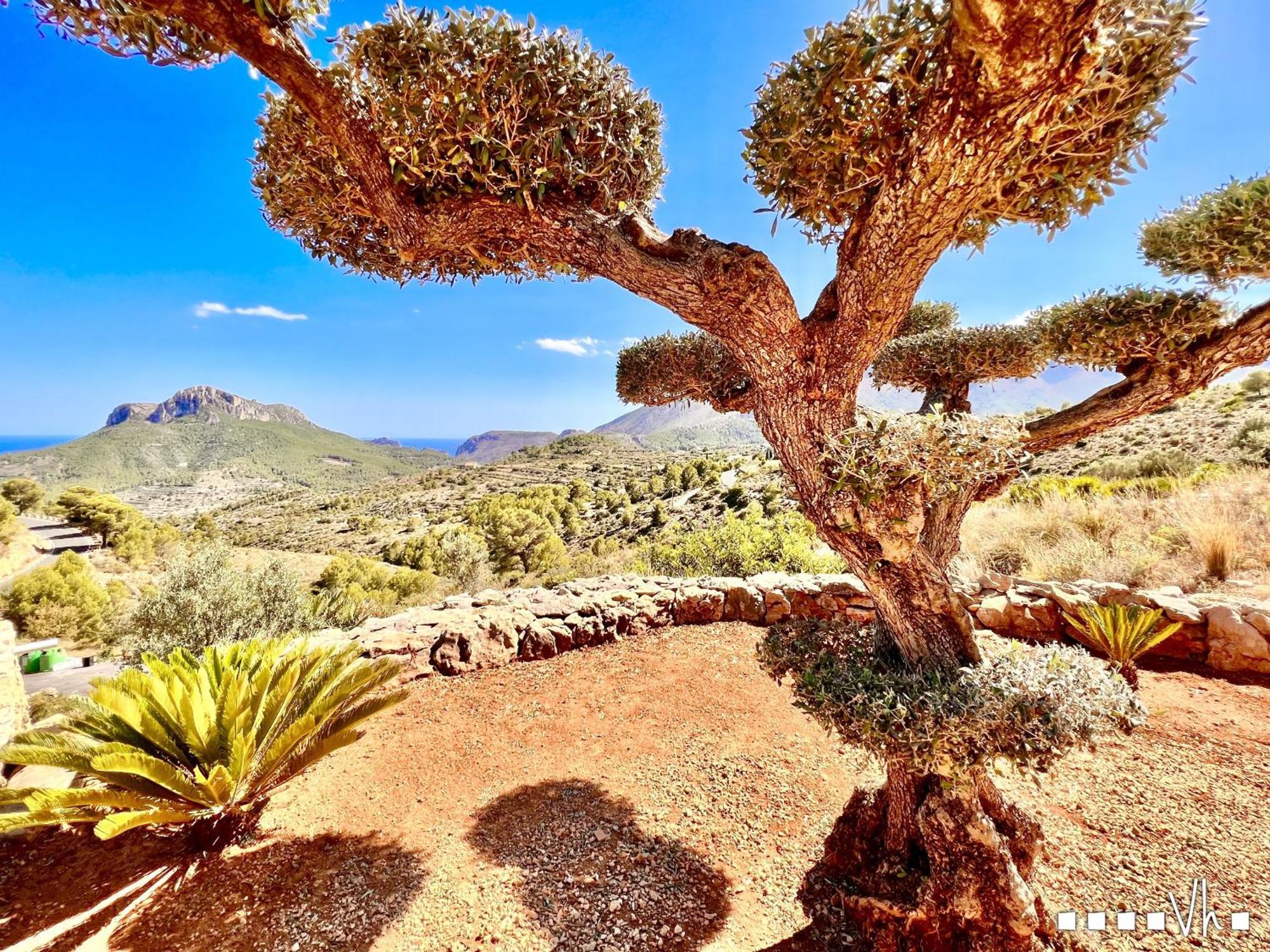Вилла Vh Costablanca - Calima Бениса Экстерьер фото